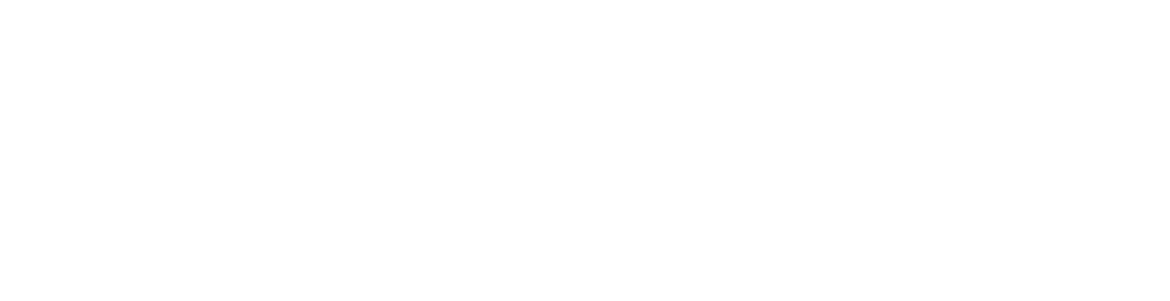 PLSBlogo_nobackground